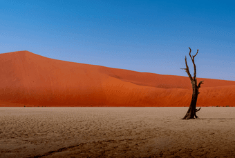 Road to COP17: "Mongolia 2026 - High-level International Dialogue"
