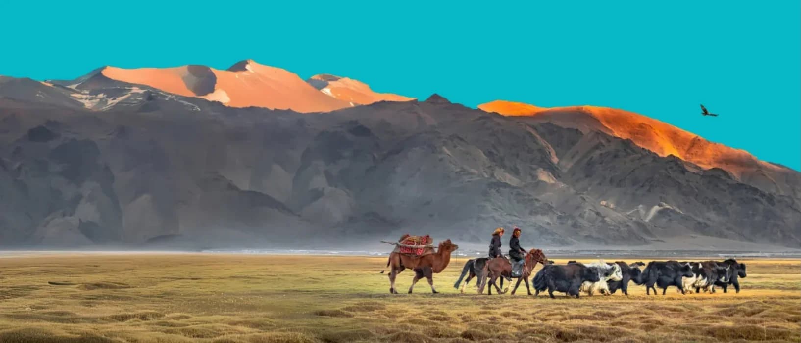 Mongolia’s COP17: Where Sustainable Land Management Ambition Meets Investment Opportunity