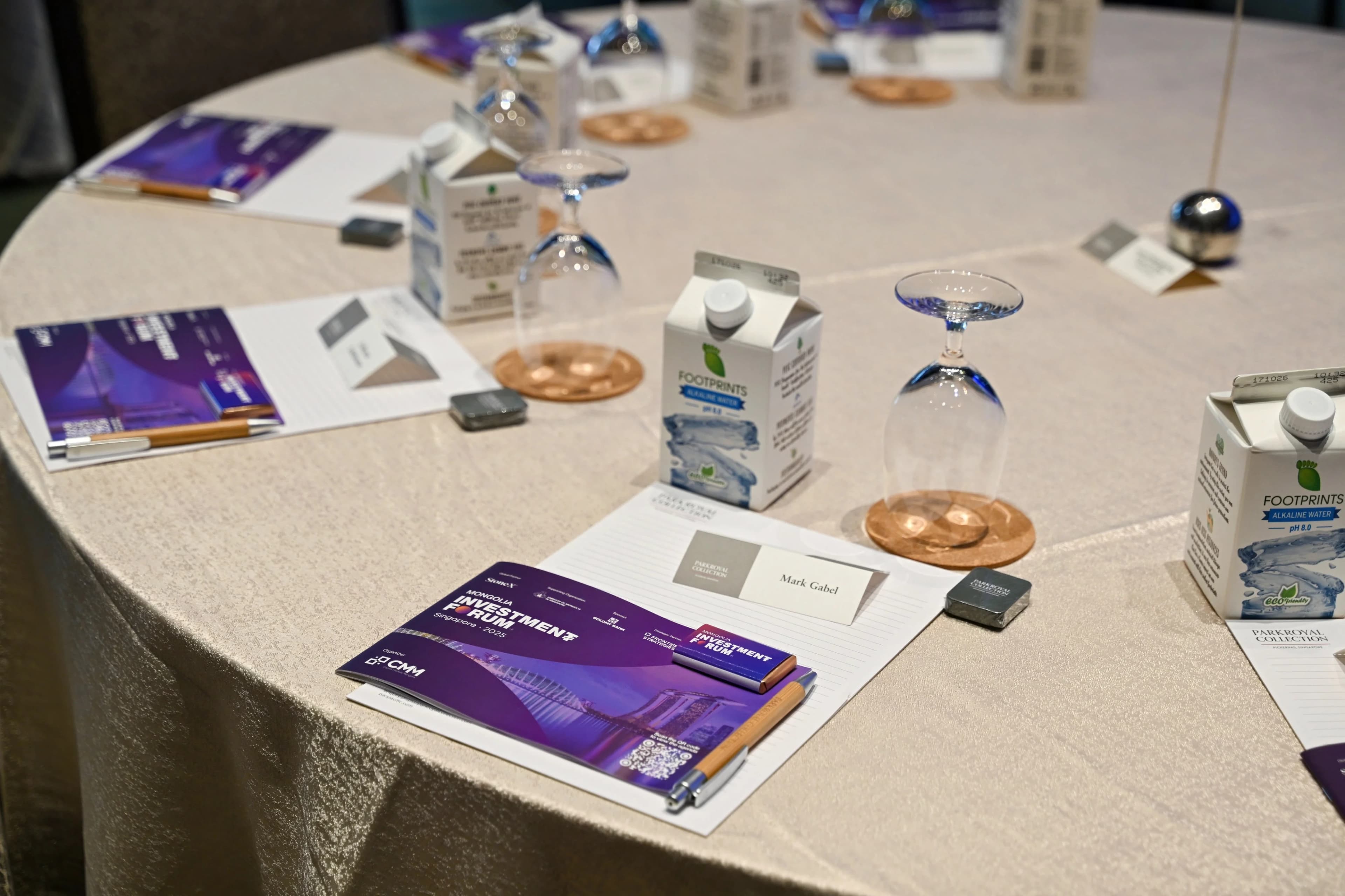 Mongolia Investment Forum: Singapore 2025 — photo 7