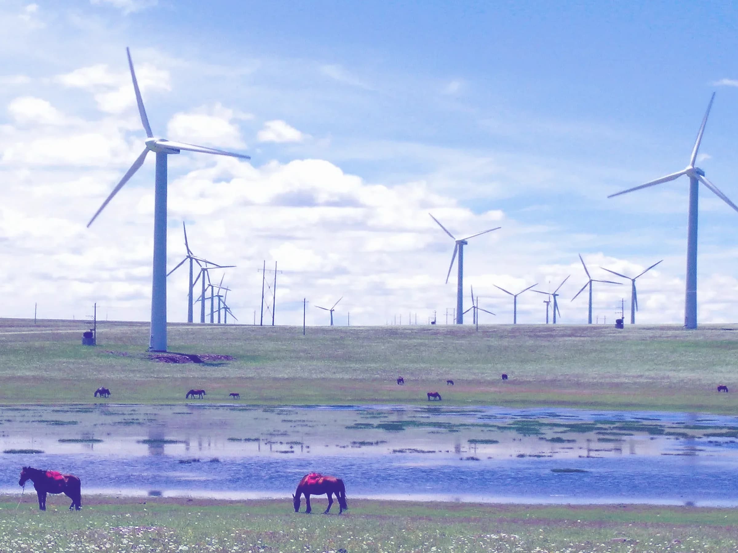 Inside Mongolia's Green Data Centre Push