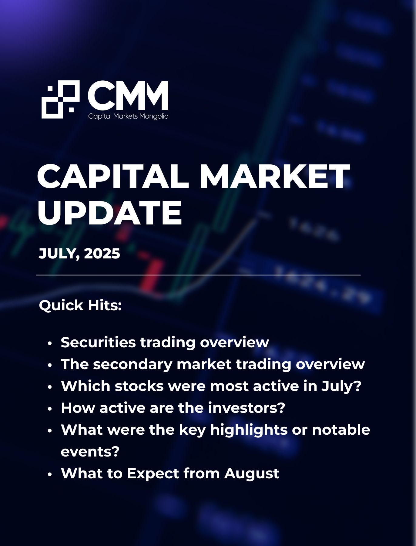 Capital Market Update: July 2025 in English