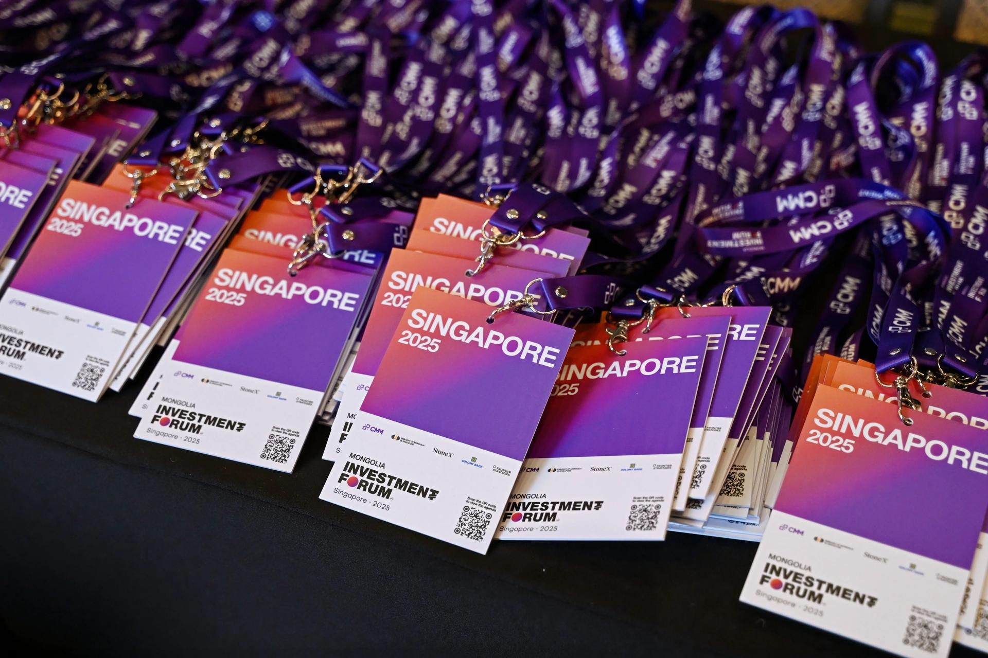 Mongolia Investment Forum: Singapore 2025 — photo 8