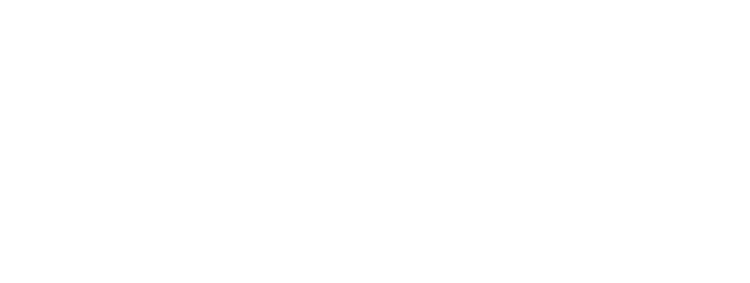 MCS International
